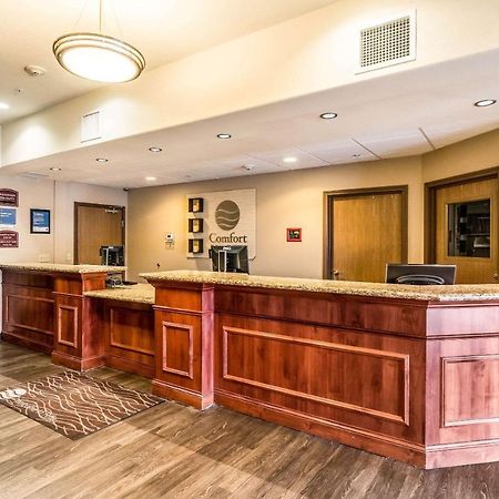 רייפל Comfort Inn & Suites מראה חיצוני תמונה
