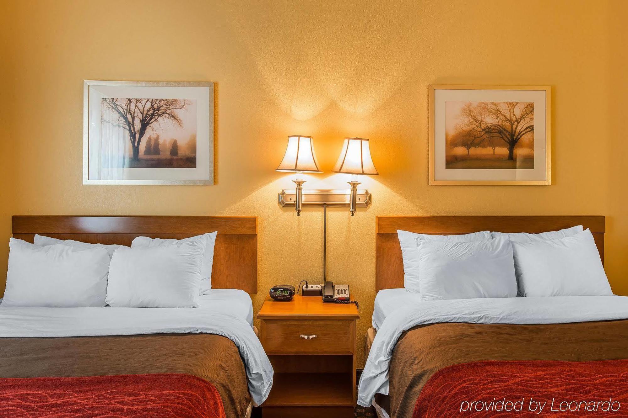 רייפל Comfort Inn & Suites מראה חיצוני תמונה