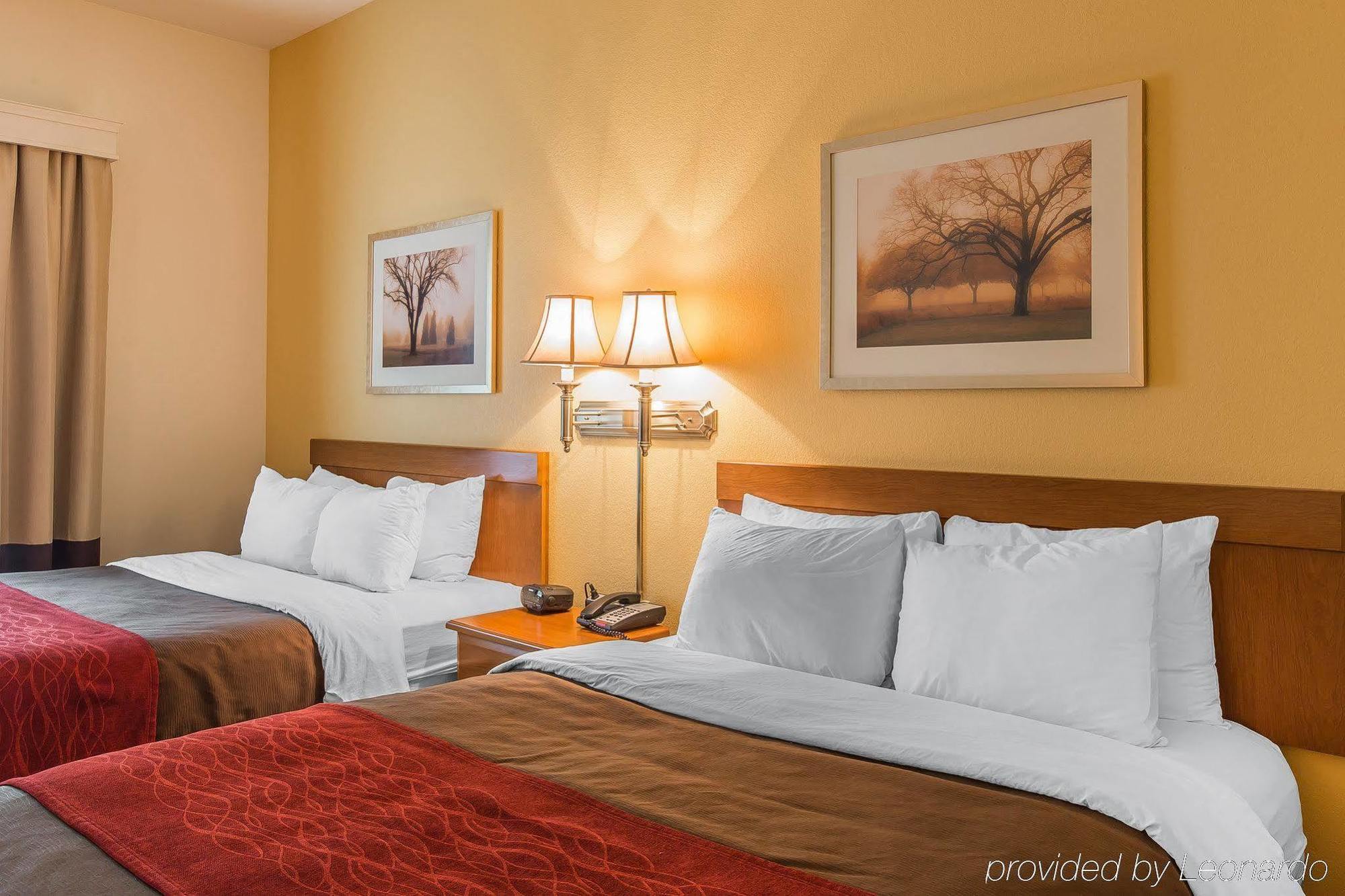 רייפל Comfort Inn & Suites מראה חיצוני תמונה