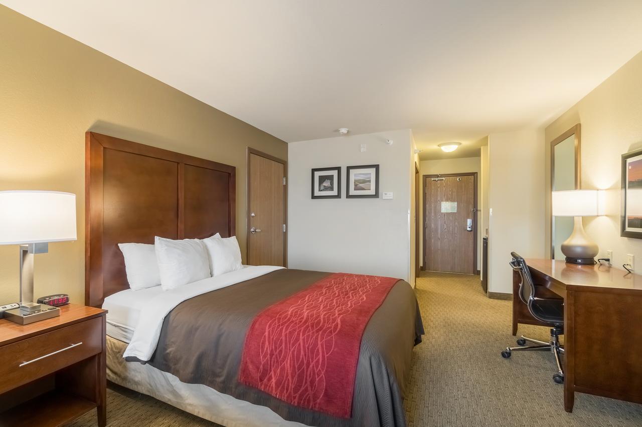 רייפל Comfort Inn & Suites מראה חיצוני תמונה